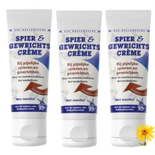 Oud Hollandsche Spier en Gewrichtscreme 3 voordeel tubes van 140ml