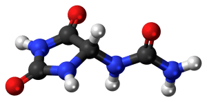 Allantoïne molecuul